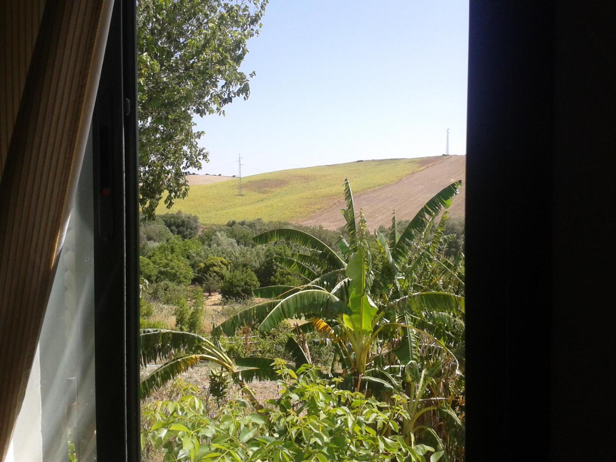 Casa Rural El Cubillo Vejer de la Frontera Eksteriør bilde