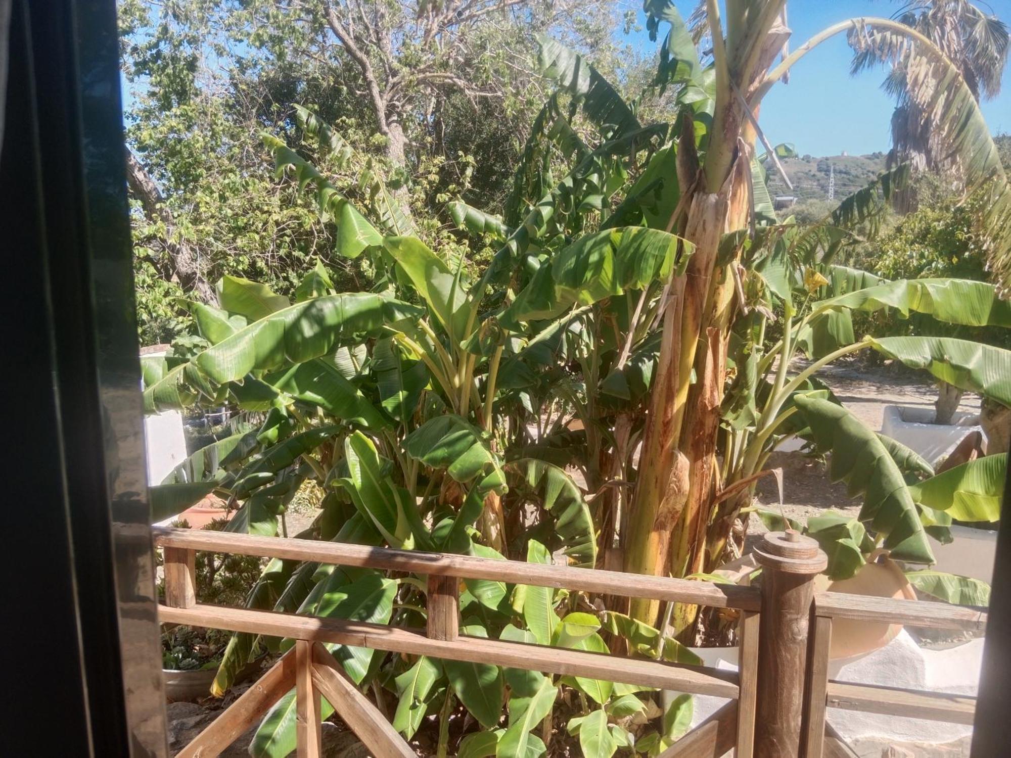 Casa Rural El Cubillo Vejer de la Frontera Eksteriør bilde