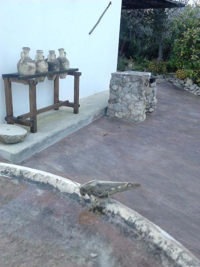 Casa Rural El Cubillo Vejer de la Frontera Eksteriør bilde
